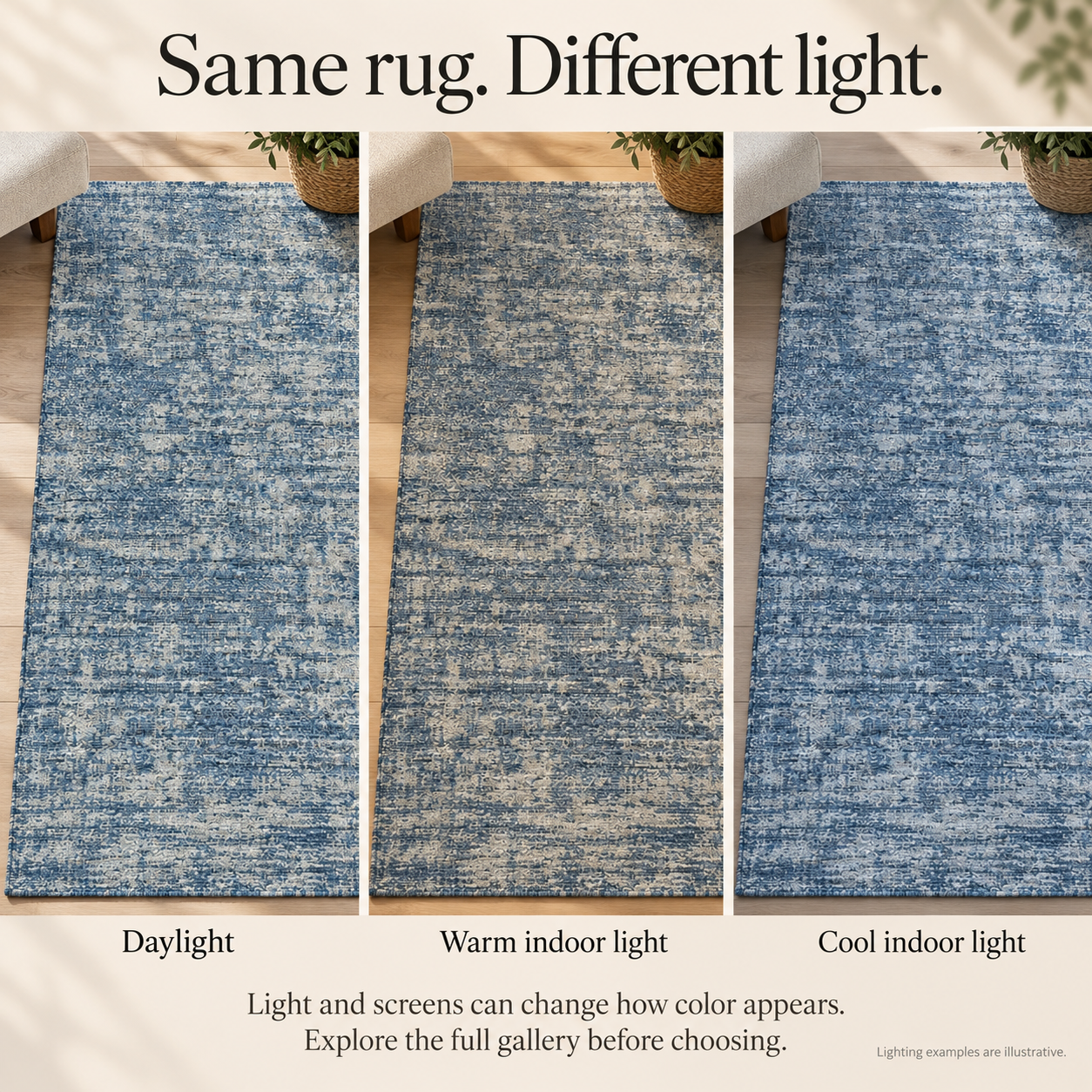 rugger-wooly-light-blue-lighting-2026.png